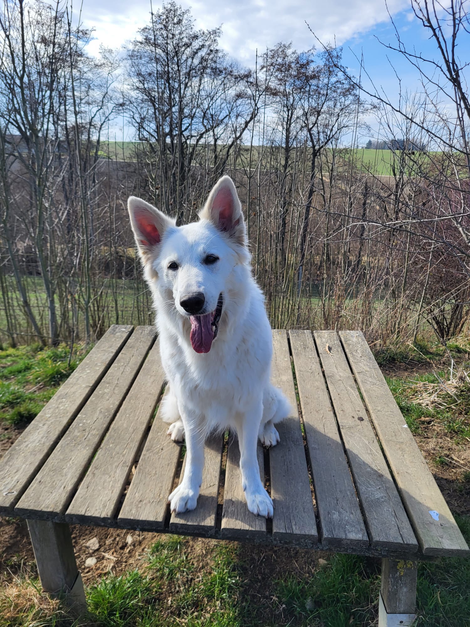 PHOTO-2026-03-17-12-25-30 2