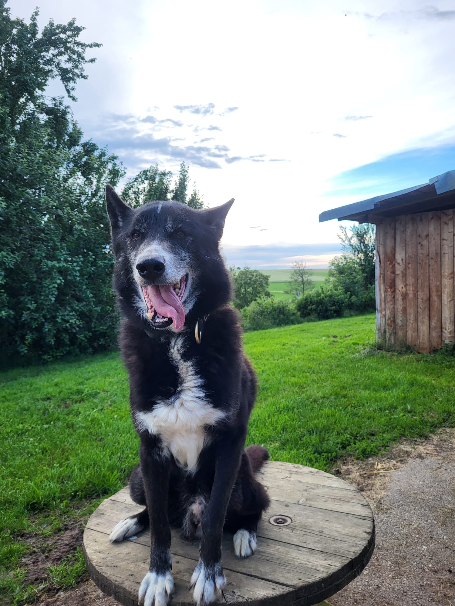 PHOTO-2026-03-17-12-25-30 3