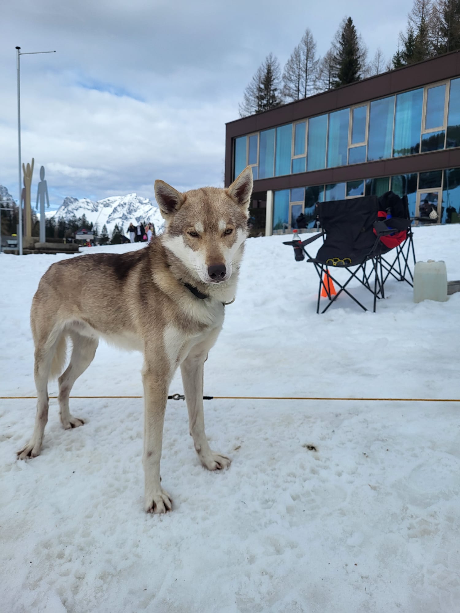 PHOTO-2026-03-17-12-25-39 2