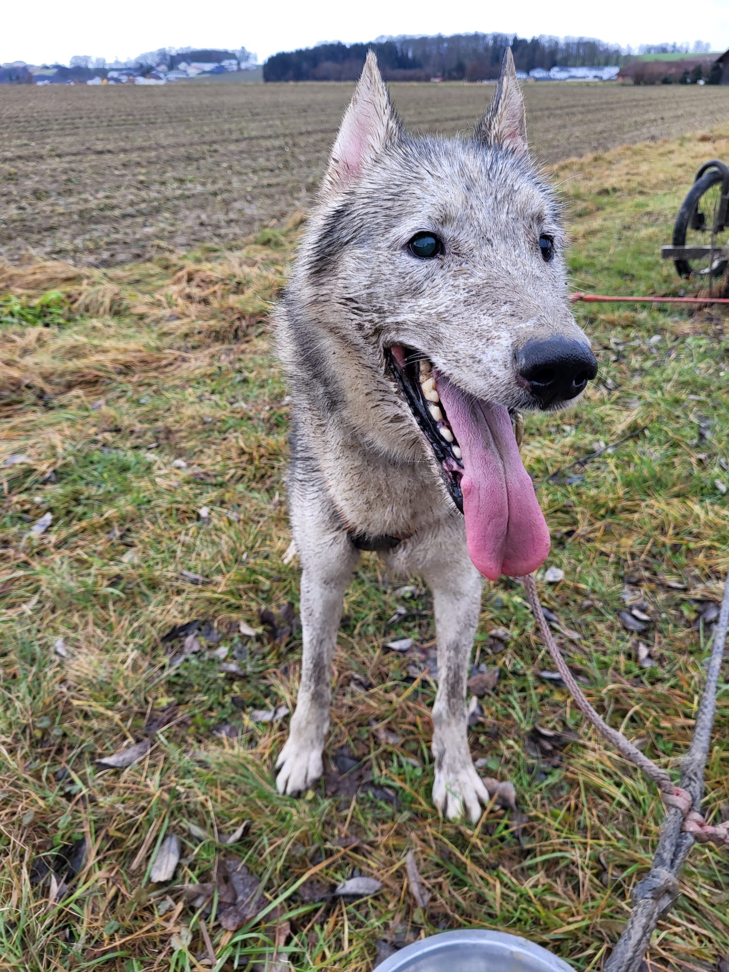 PHOTO-2026-03-17-12-25-39 4