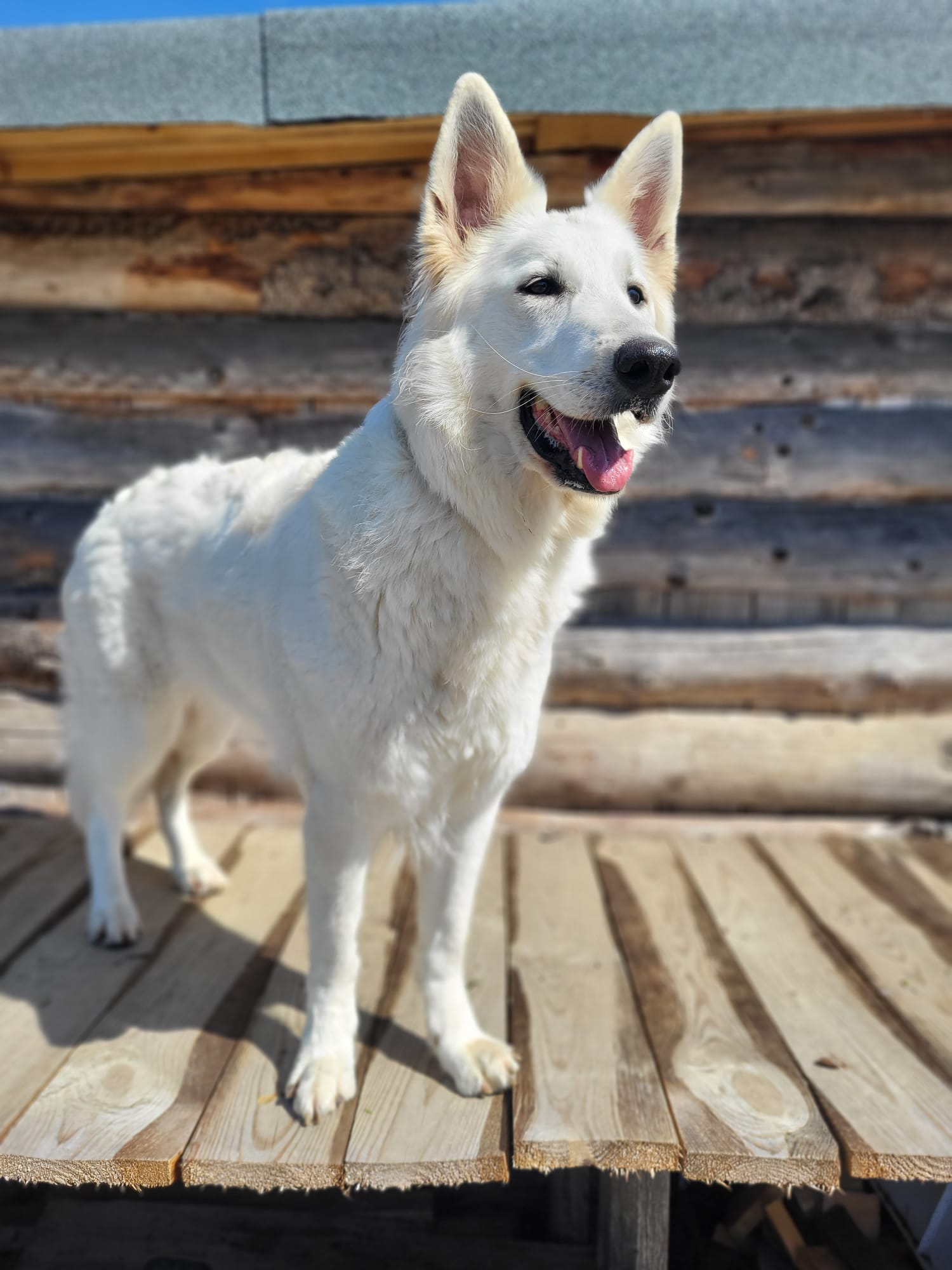 PHOTO-2026-03-17-12-25-40 5