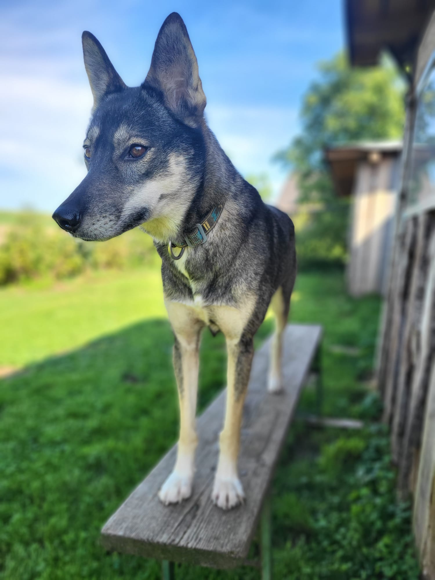 PHOTO-2026-03-17-12-25-40 6