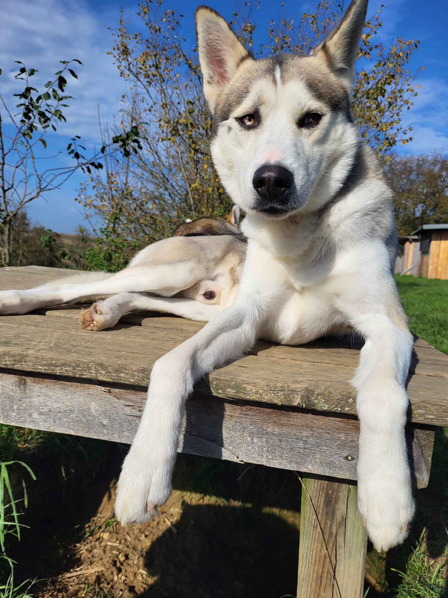 PHOTO-2026-03-17-12-29-51 3