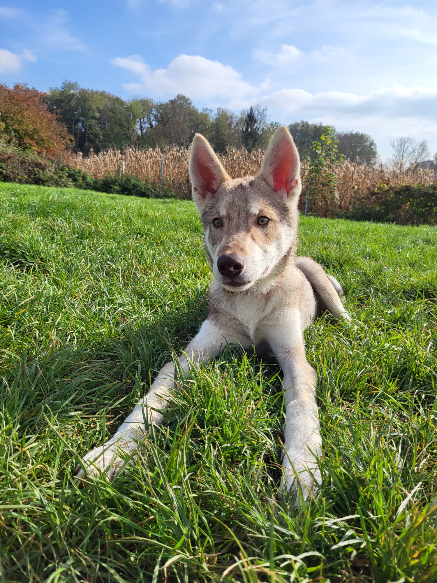 PHOTO-2026-03-17-12-30-42