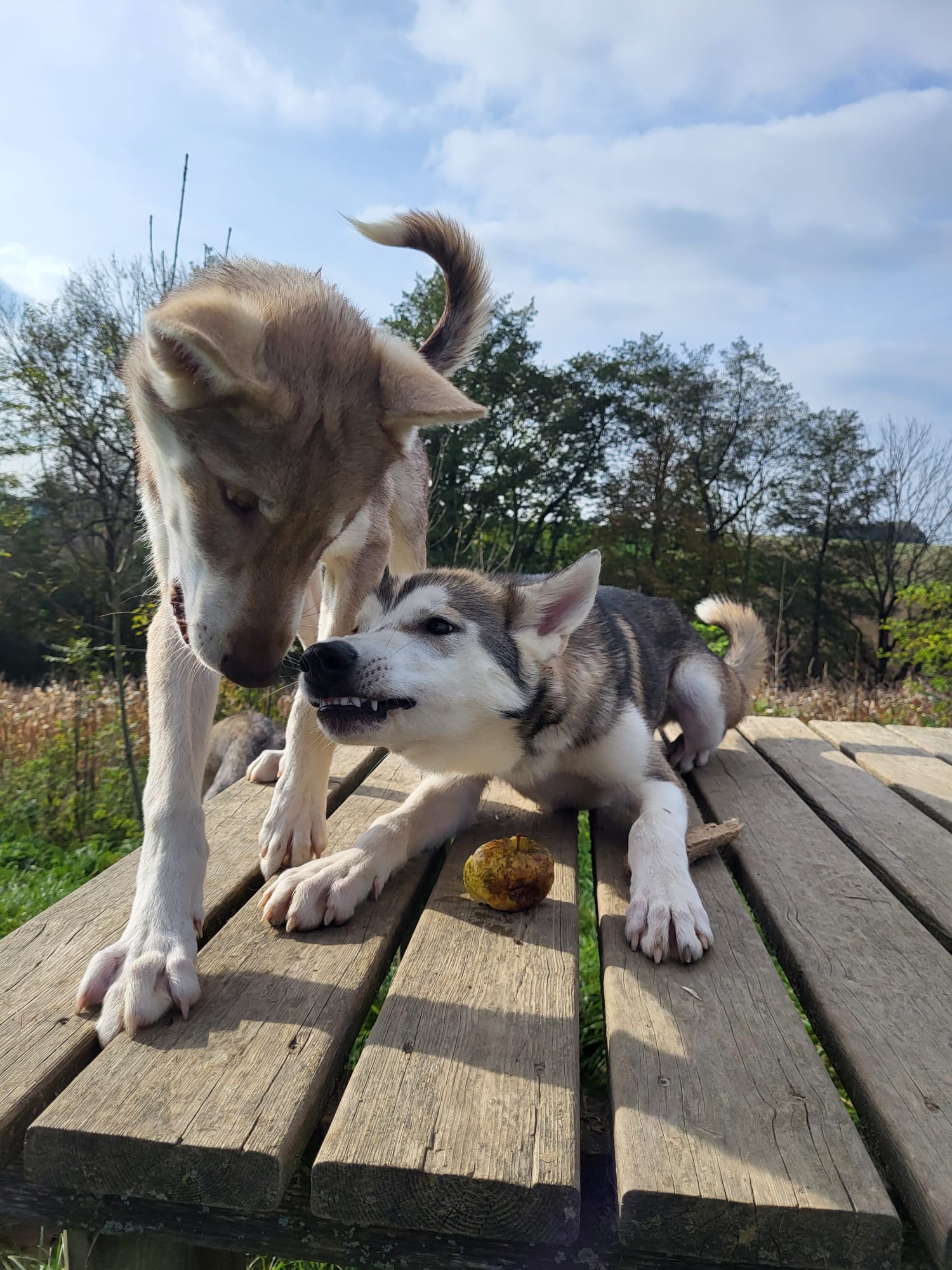 PHOTO-2026-03-17-12-30-43