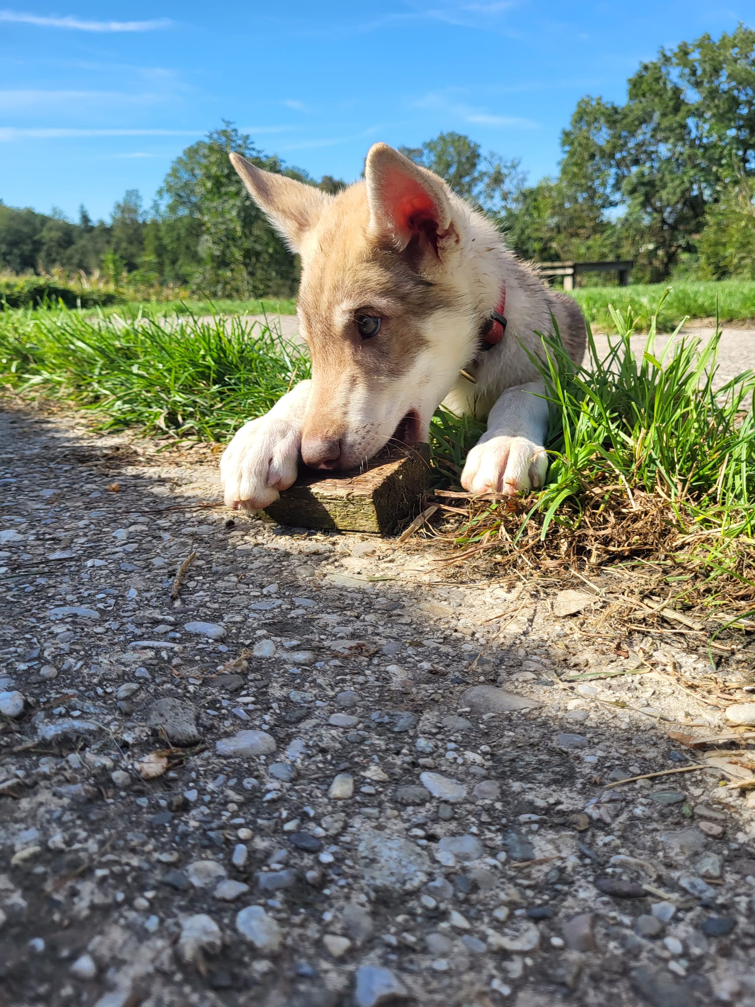 PHOTO-2026-03-17-12-31-41