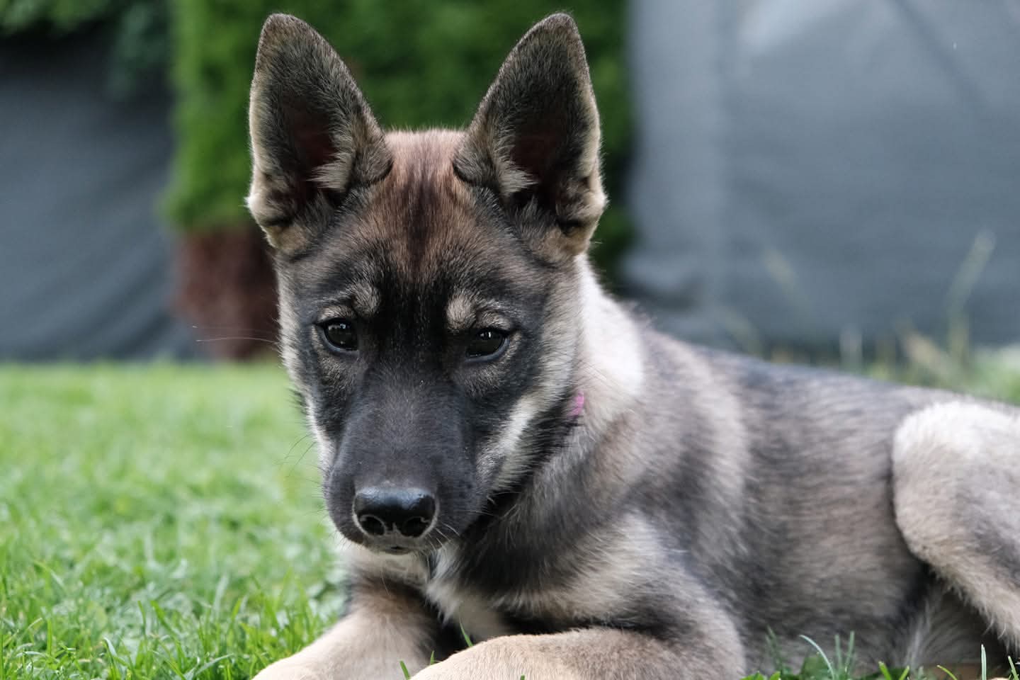 PHOTO-2026-03-17-12-43-56 4