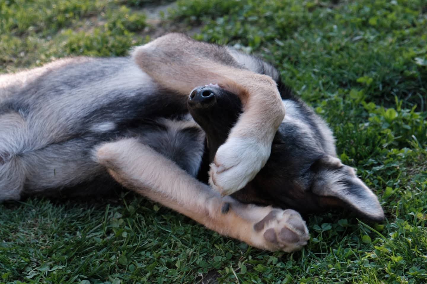 PHOTO-2026-03-17-12-43-56 5